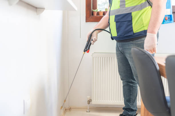 Best Pest Control Near Me in St James City, FL