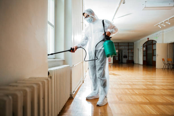 Best Termite Control Services  in St James City, FL